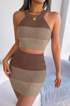 Color Block Sleeveless Crop Knit Top and Skirt Set